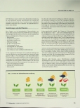 Vorschauseite 2: Pflanzenbasierte Ernährung