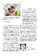 Vorschauseite 5: Keine Scheu vor Schönheit