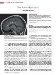 Vorschauseite 1: Das Susac-Syndrom