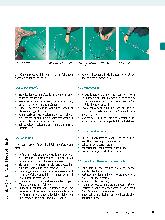 Vorschauseite 5: Die Analyse von Aktivitäten ist die Kernkompetenz der Ergotherapie.