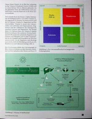 Vorschauseite 2: Das doppelte Gesicht Eine kritische Betrachtung des Vitamin D