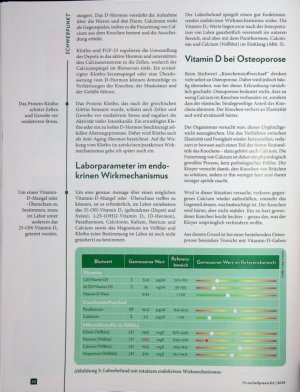 Vorschauseite 3: Das doppelte Gesicht Eine kritische Betrachtung des Vitamin D