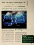 Vorschauseite 1: Was tun gegen das Kopfgewitter? Migräne mit Vitalpilzen behandeln