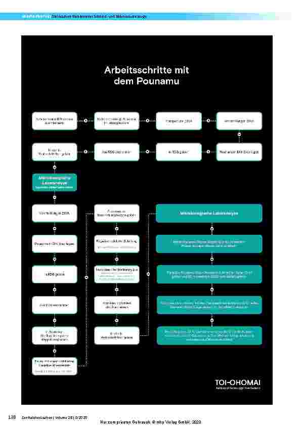 Vorschauseite 4: Sterilisation traditioneller Schneidund Abbindewerkzeuge Pounamu und das Durchtrennen der Nabelschnur – Eine Fallstudie