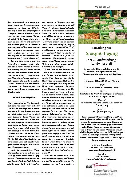 Vorschauseite 4: Wenn Naturgeister wirklich sind.