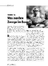 Vorschauseite 1: Nanomaterialien Was machen Zwerge im Essen ?