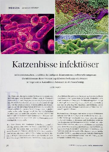 Vorschauseite 1: Katzenbisse infektiöser