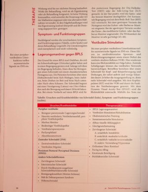 Vorschauseite 3: Den Dreh raus Befundund evidenzbasierte Schwindeltherapie