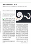 Vorschauseite 1: Wie ein Blatt im Wind: Die Belastung durch Ungewissheit und ihre Transformation