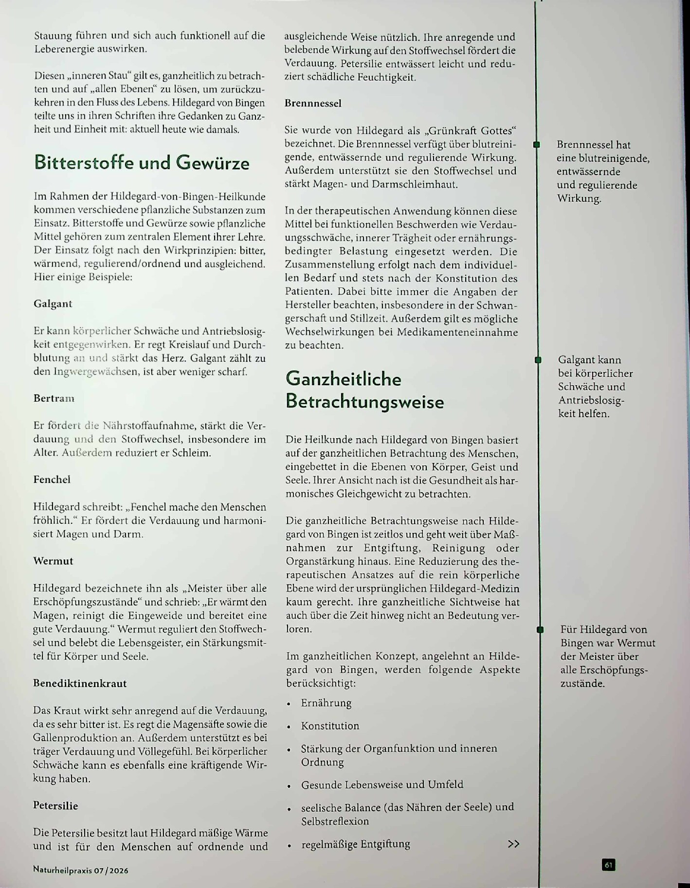 Vorschauseite 2: Fluss statt Stau. Sanfte Regulation nach Hildegard von Bingen