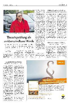 Vorschauseite 1: Theorieprüfung als unüberwindbare Hürde