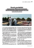 Vorschauseite 1: Krank gearbeitet.