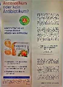 Vorschauseite 3: FRAX ermittelt den Behandlungsbedarf.