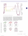 Vorschauseite 3: Emotionale Ersthilfe und Stressregulation im Therapiealltag mit EmotionAid