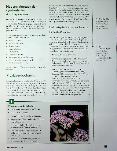 Vorschauseite 3: Trüben Tagen natürlich begegnen: Phytotherapeutische Begleitung bei Missstimmungen