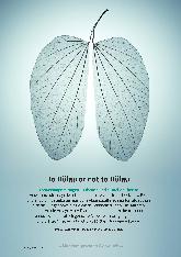 Vorschauseite 1: To Bülow or not to Bülow