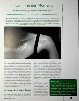 Vorschauseite 1: In der Hitze des Moments Milieusanierung und aktive Fiebertherapie