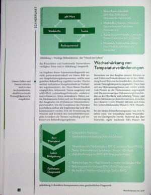 Vorschauseite 2: In der Hitze des Moments Milieusanierung und aktive Fiebertherapie