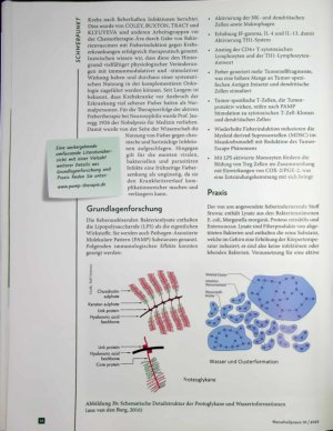 Vorschauseite 4: In der Hitze des Moments Milieusanierung und aktive Fiebertherapie
