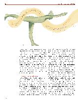 Vorschauseite 3: Koordinative Fähigkeiten und Yoga