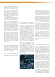 Vorschauseite 3: Smartes Pflaster könnte die Heilung chronischer Wunden beschleunigen.