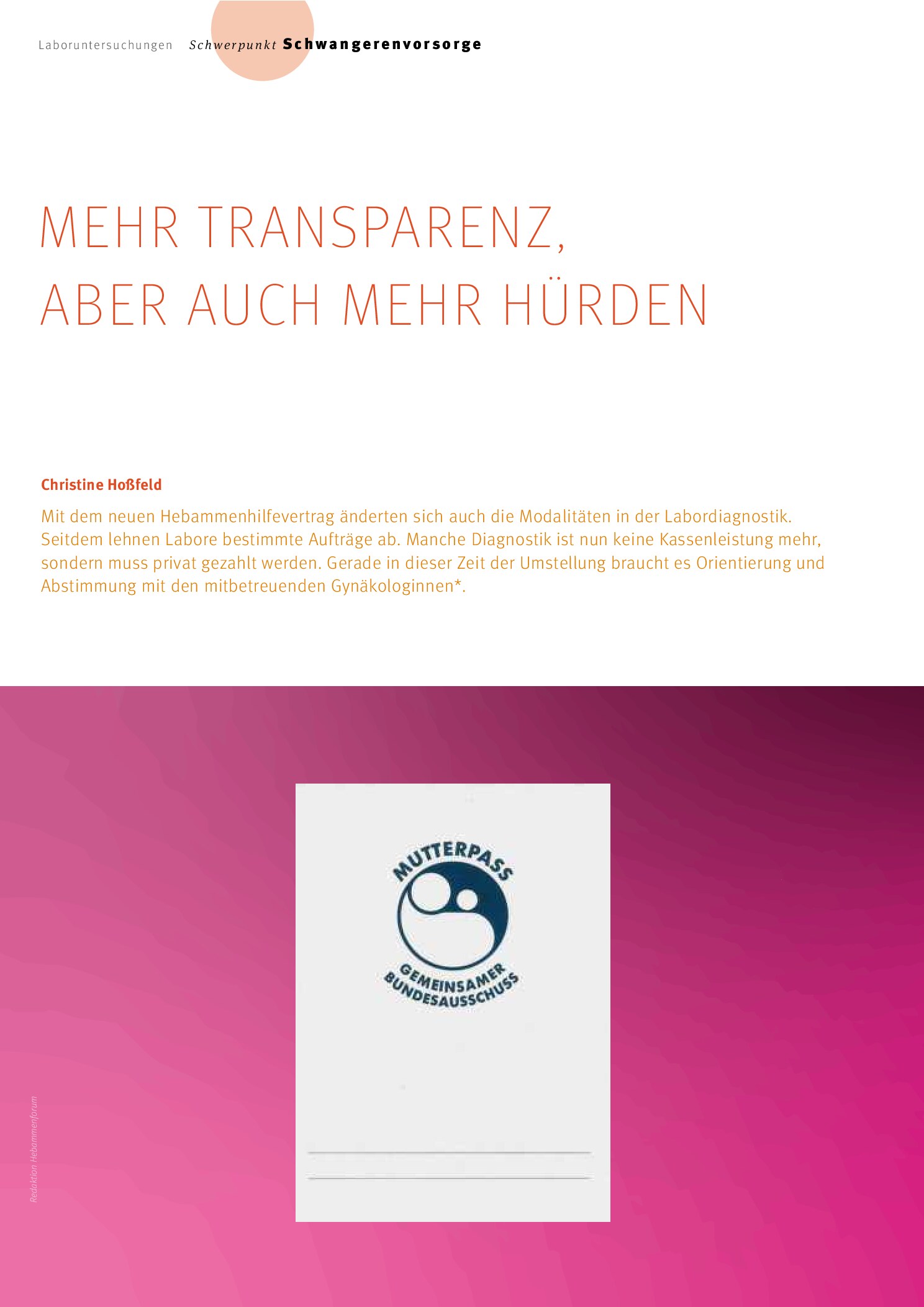 Vorschauseite 1: Mehr Transparenz, aber auch mehr Hürden