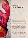 Vorschauseite 1: Brisante Kombination