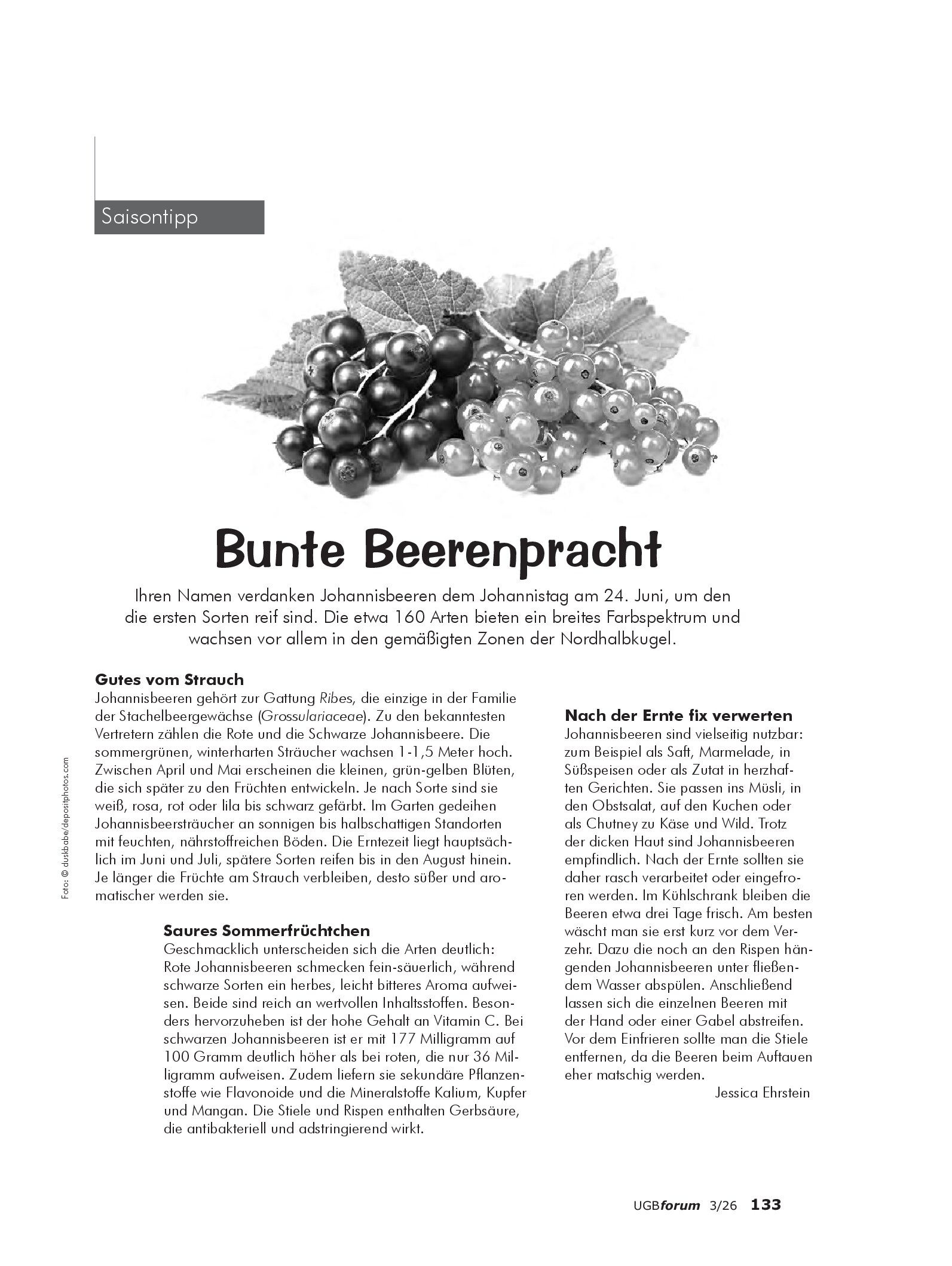Vorschauseite 1: Bunte Beerenpracht
