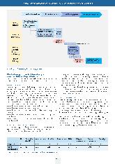 Vorschauseite 5: Übersetzung des Pflegeklassifikationssystems „European Nursing Care Pathways (ENP)“ basierend auf angepasster Delphi-Methode.