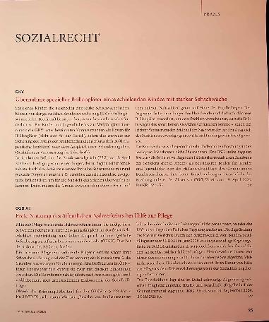 Vorschauseite 1: Sozialrecht