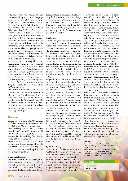 Vorschauseite 2: Dünndarmfehlbesiedlung