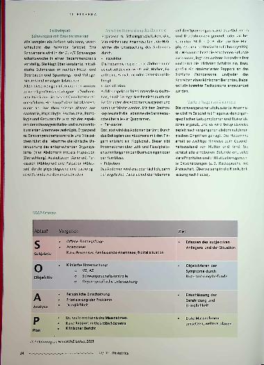 Vorschauseite 3: Hört mal, was da hämmert - Clinical Assessment durch Hebammen
