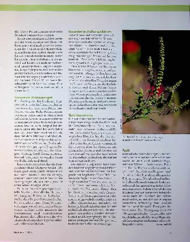 Vorschauseite 2: Allergien nehmen zu
