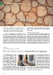 Vorschauseite 1: Palm baute Holzklinik.