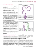 Vorschauseite 2: Transplantationen und die Rolle von Tacrolimus