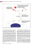 Vorschauseite 3: Transplantationen und die Rolle von Tacrolimus