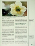 Vorschauseite 2: Die Christrose: botanisches Phänomen mit therapeutischem Potenzial. Helleborus niger in der komplementären Krebstherapie.