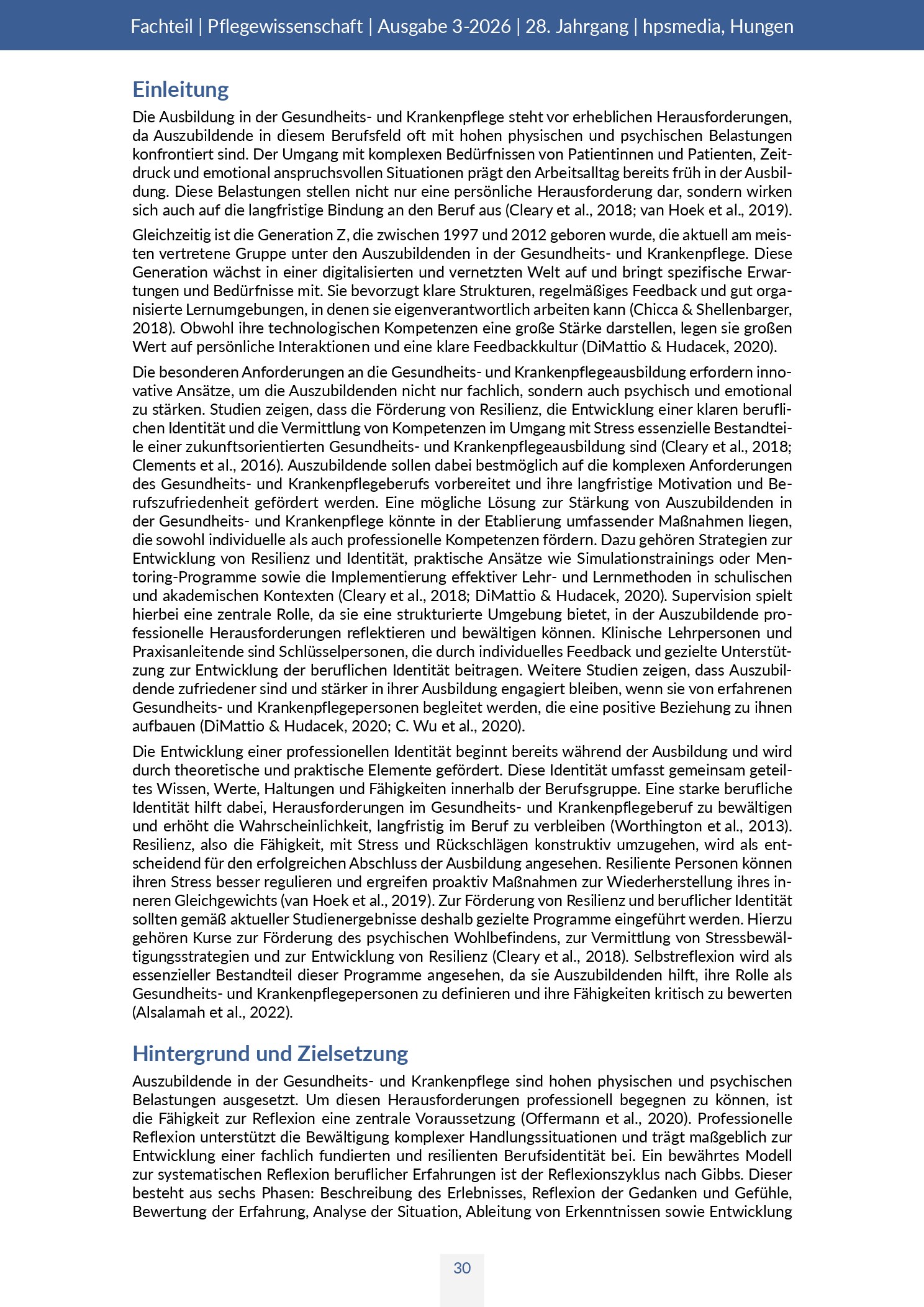 Vorschauseite 2: Einfluss von Selbstreflexion auf die Entwicklung von Resilienz und beruflicher Identität bei Pflegeauszubildenden