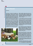 Vorschauseite 1: Kleine Tierwelt
