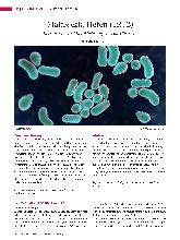 Vorschauseite 1: Malassezia-Hefen (Teil 2) Kommensale und Krankheitserreger - eine Übersicht