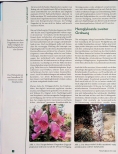 Vorschauseite 3: Herzglykoside in der Naturheilpraxis?