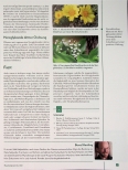Vorschauseite 4: Herzglykoside in der Naturheilpraxis?