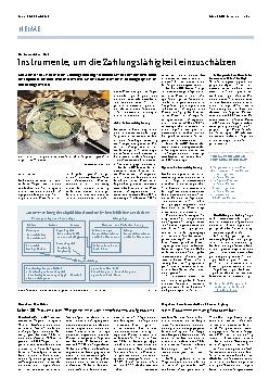 Vorschauseite 1: Instrumente, um die Zahlungsfähigkeit einzuschätzen