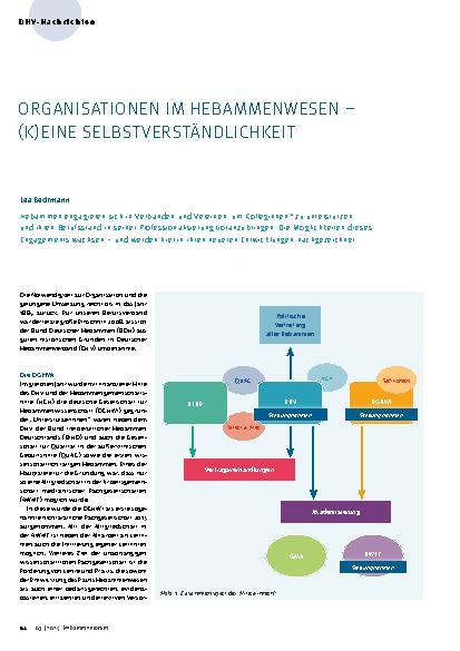 Vorschauseite 1: Organisationen im Hebammenwesen- (k)eine Selbstverstaändlichkeit