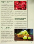 Vorschauseite 2: Amla und Holunder als Schutz vor schweren COVID-19-Verläufen? Studiendaten zeigen Effekte gegen SARS-CoV-2.