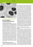 Vorschauseite 1: Die Covid-19-Pandemie. Eine gesellschaftliche Konstruktion?