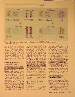 Vorschauseite 2: SARS-CoV-2-Antigenschnelltests. Zum sicheren Nachweis einer SARS-CoV-2-Infektion nicht geeignet.