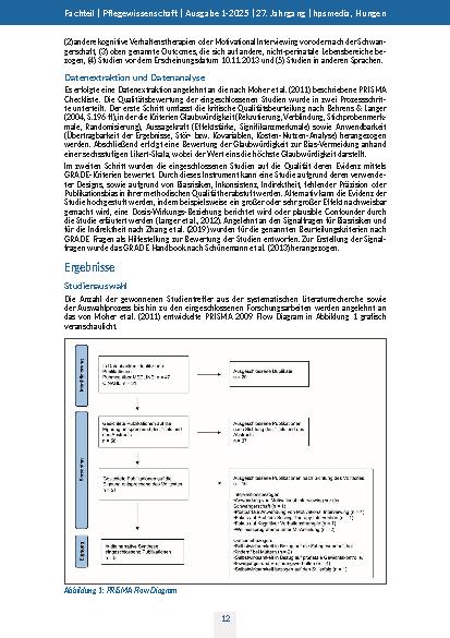 Vorschauseite 4: Auswirkungen von Motivational Interviewing bei Schwangeren auf Selbstwirksamkeit, Angst und Hoffnungslosigkeit Systematischer Literaturreview