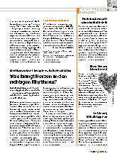 Vorschauseite 1: Eisen-Herzen leben besser!