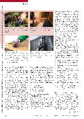 Vorschauseite 3: Innovative prothetische Intervention für Menschen mit Teilhandamputation: Eigenkraftprothesen.